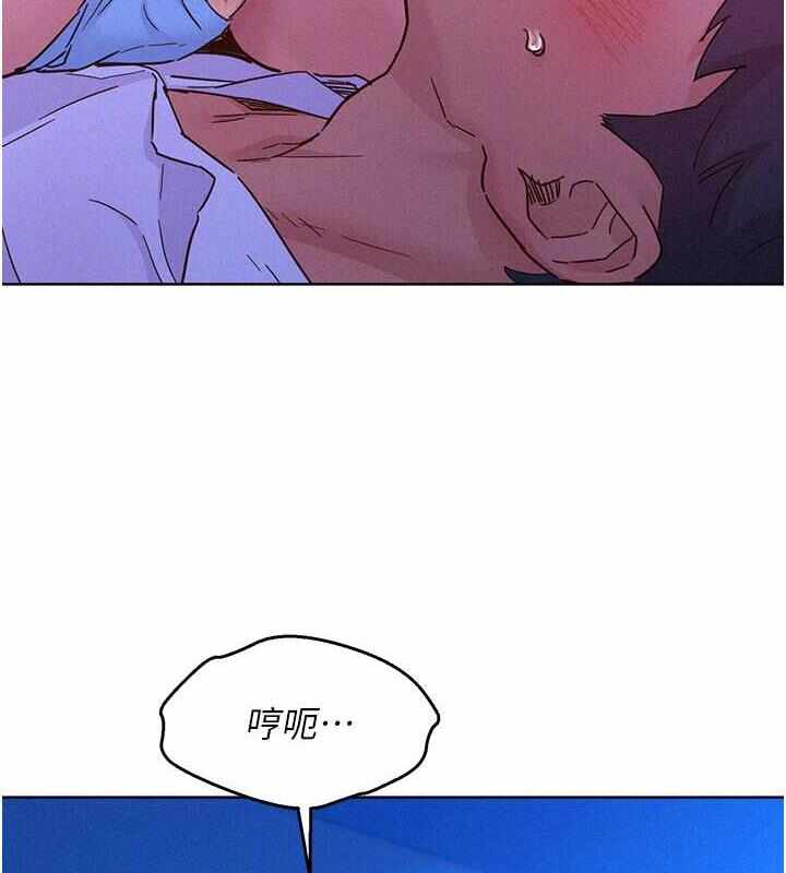 第113张