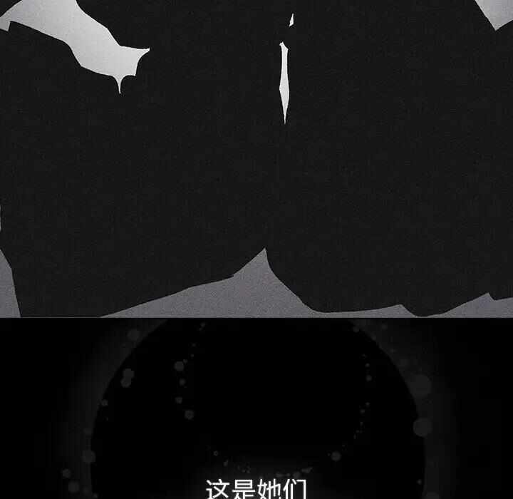 第48张