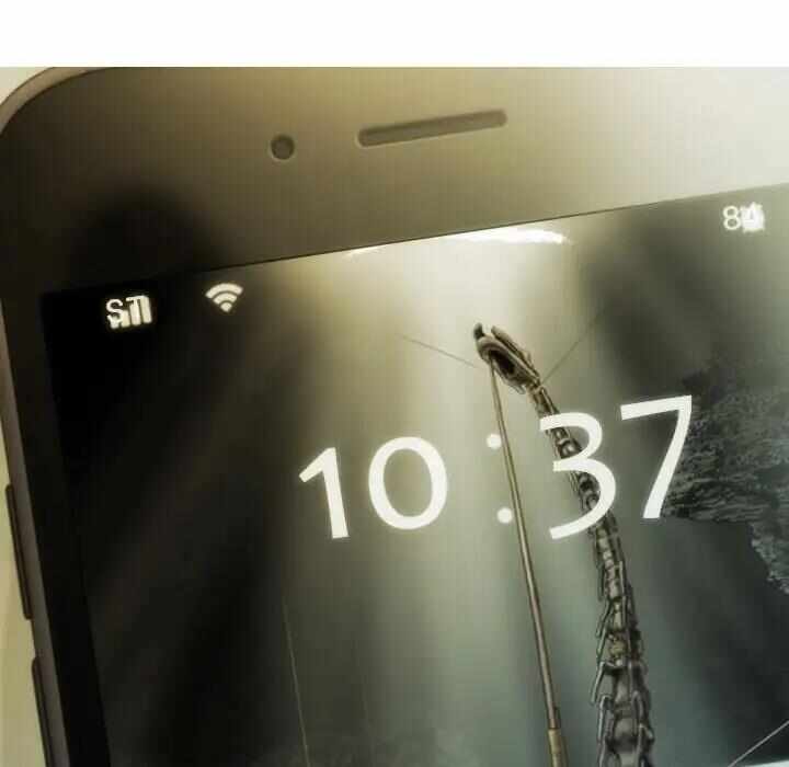 第21张