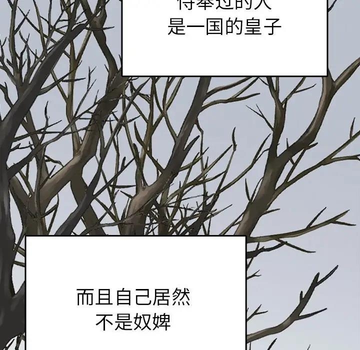 第5张