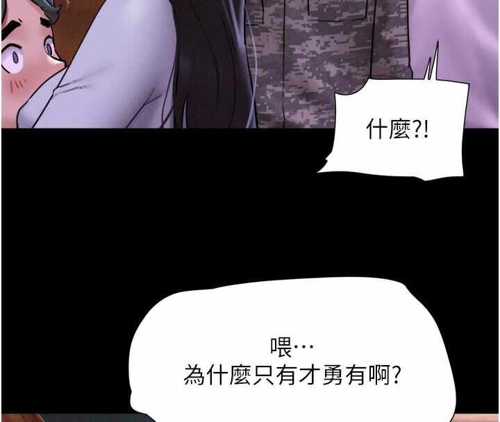 第253张