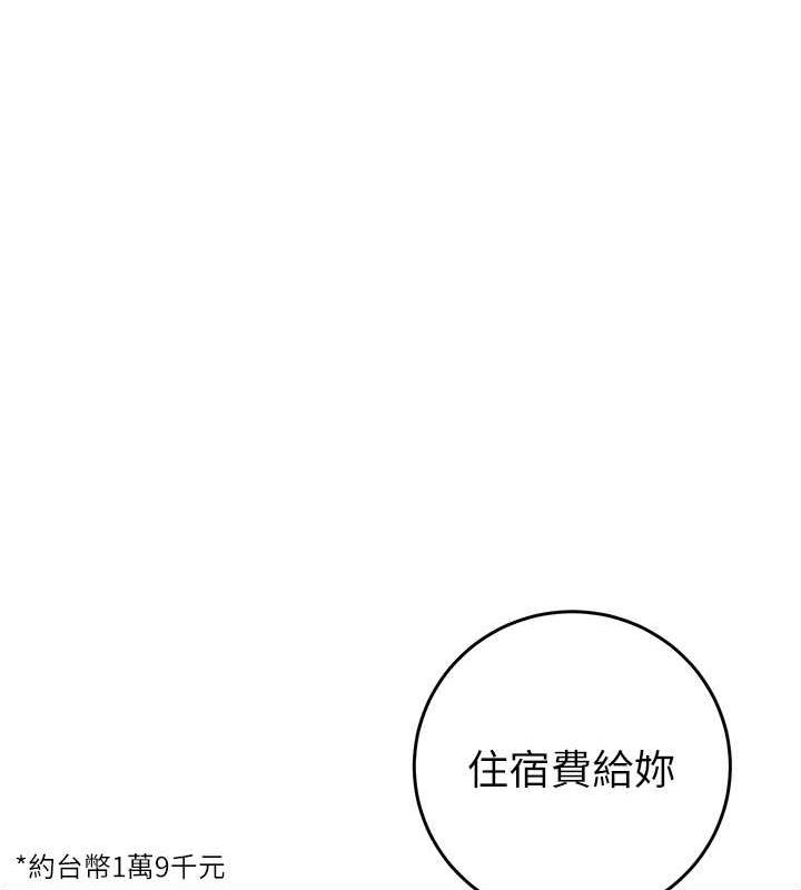 第223张