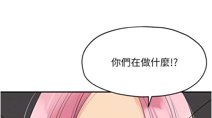 第3张
