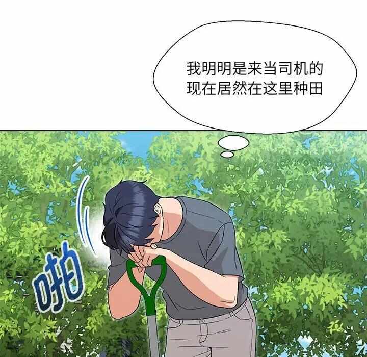 第162张