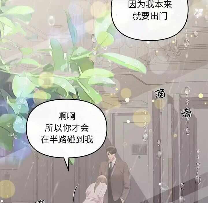 第52张
