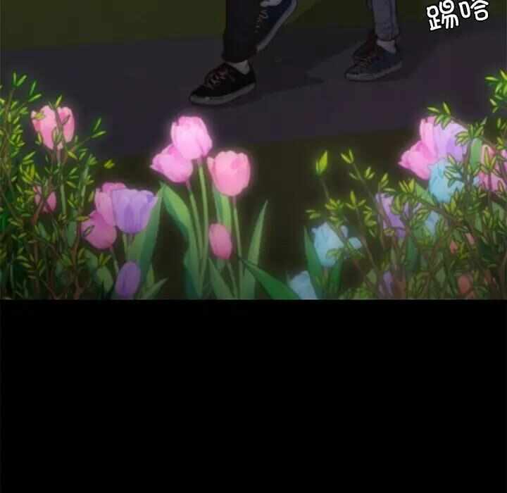 第50张