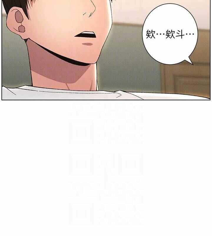 第38张