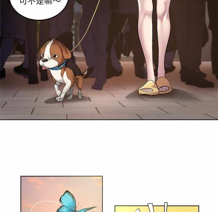 第61张