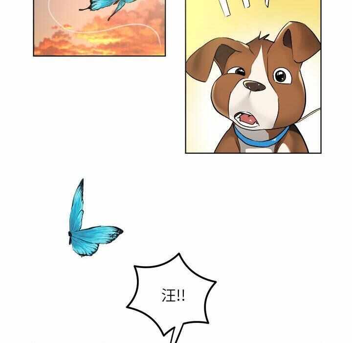 第63张