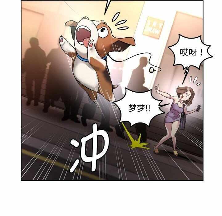 第64张