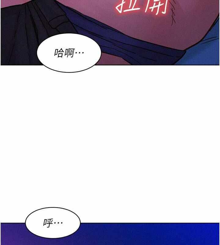 第81张