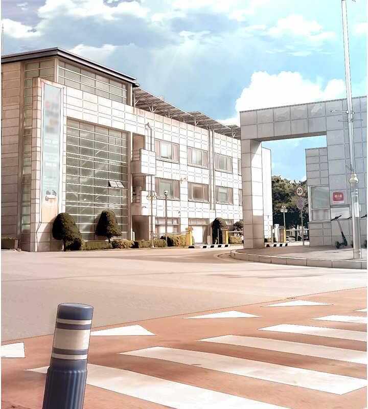 第56张
