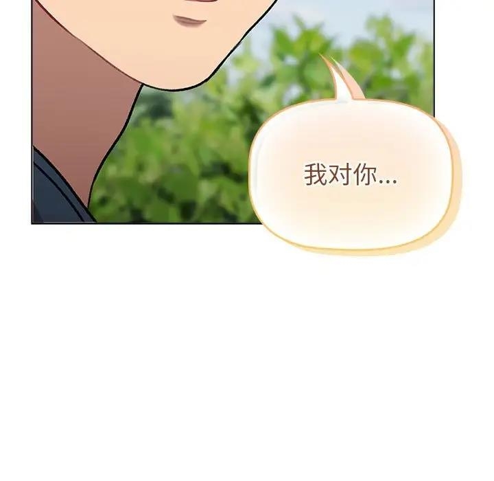 第146张