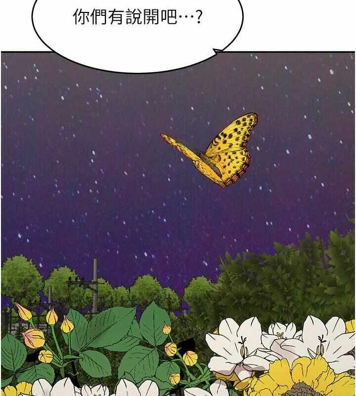 第168张