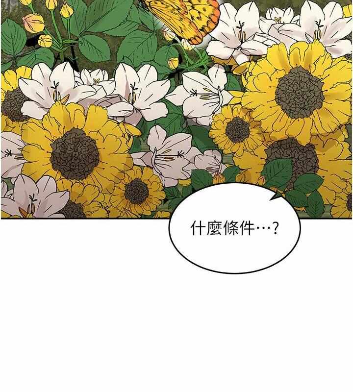 第13张