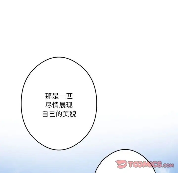 第173张