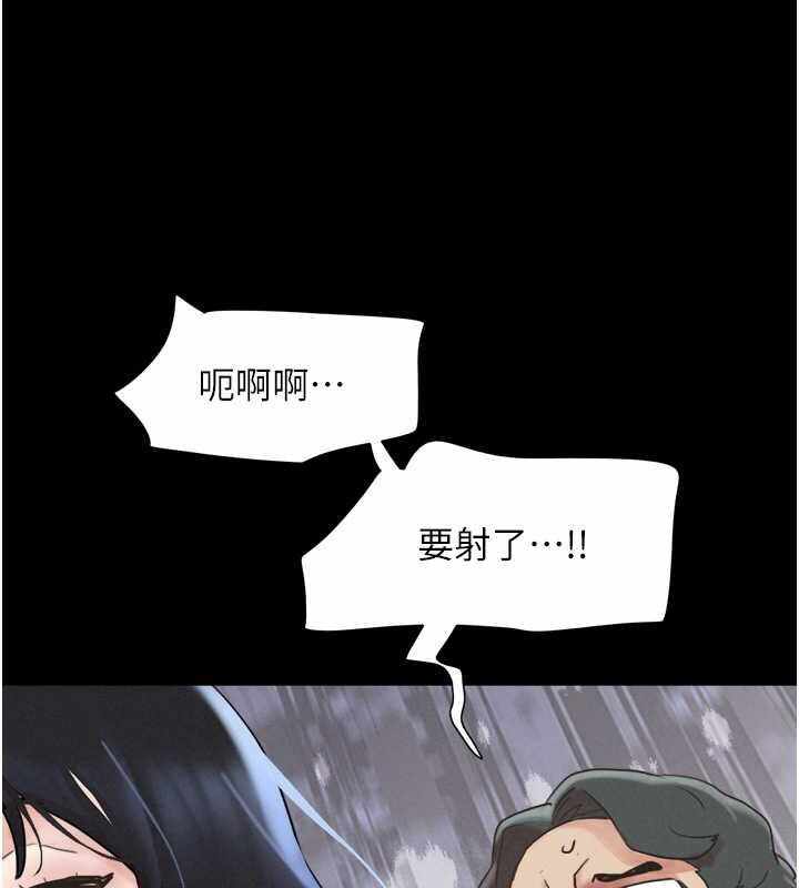 第5张