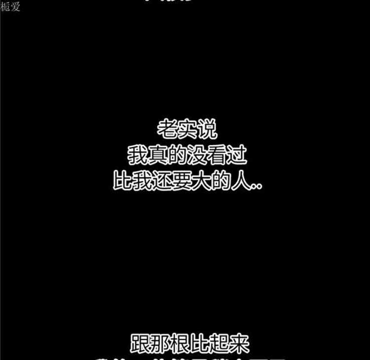 第95张