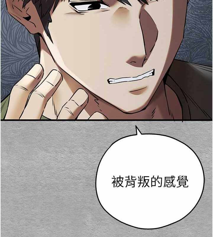 第52张