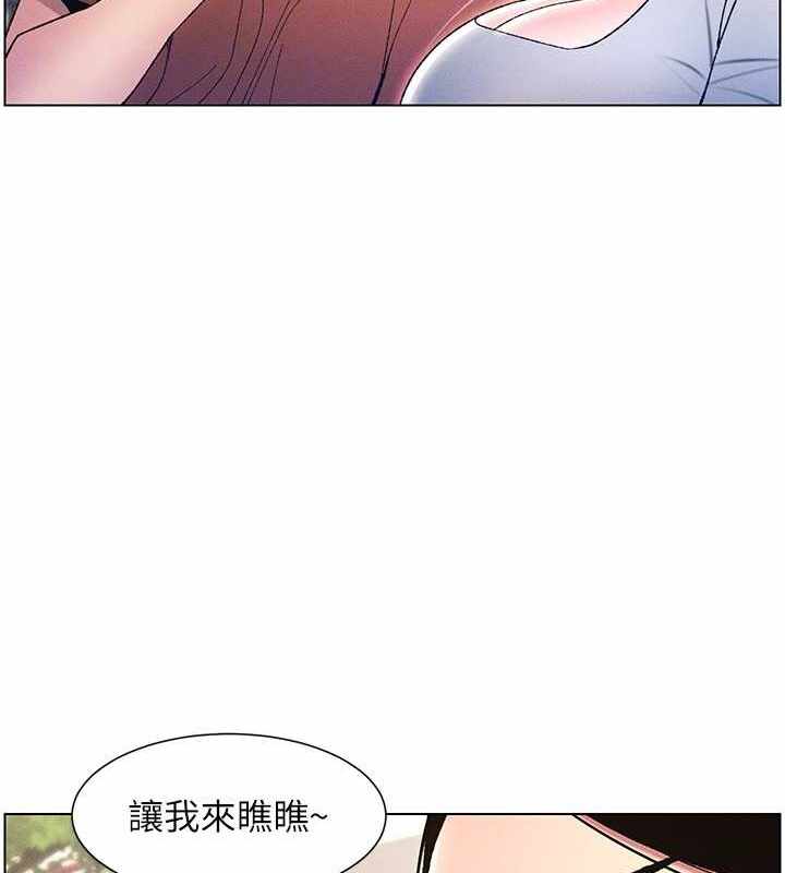第29张