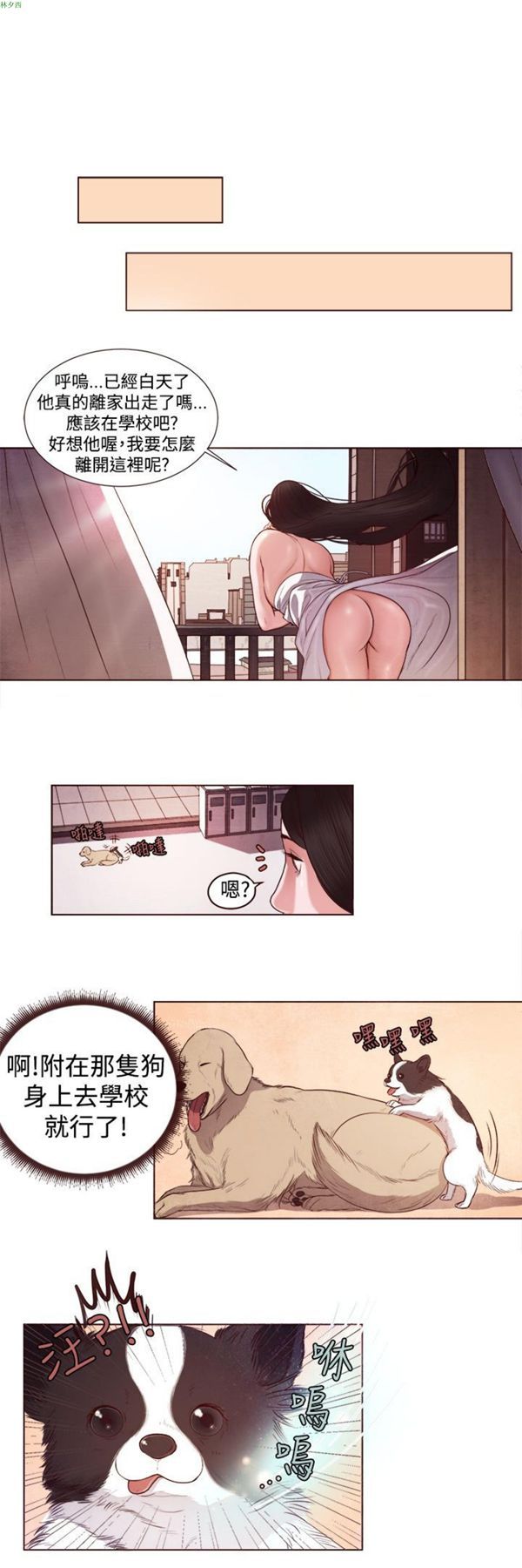 第7张