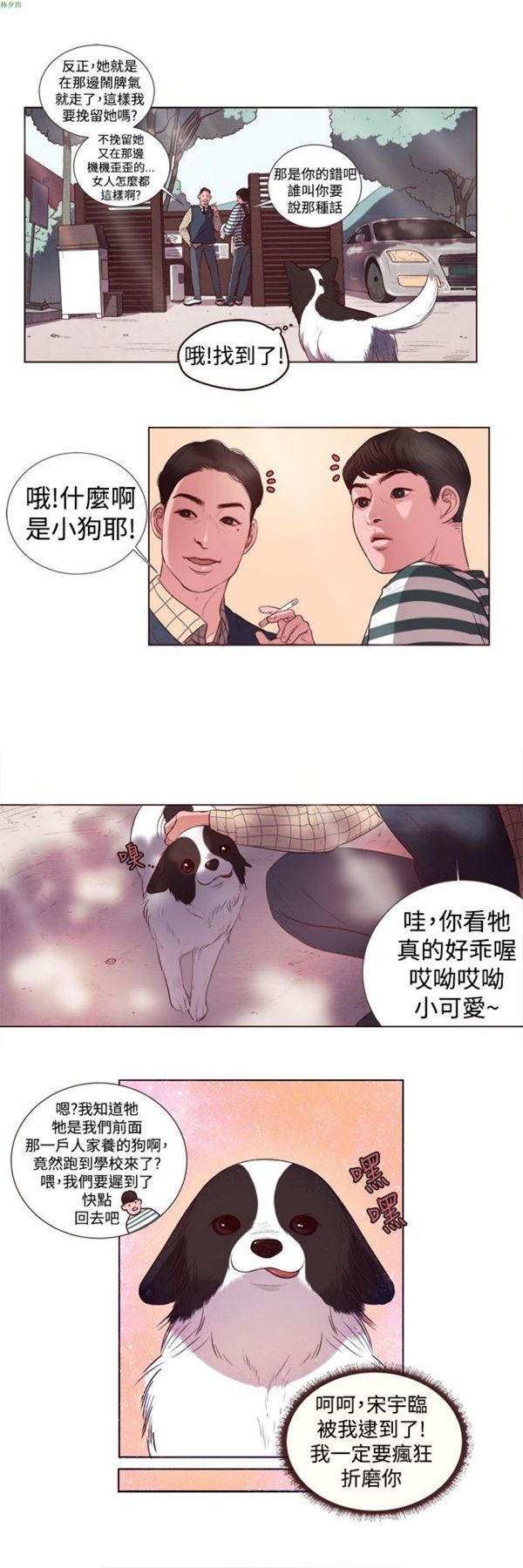 第9张