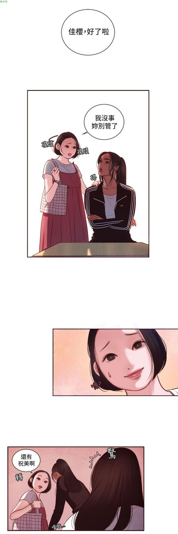 第5张