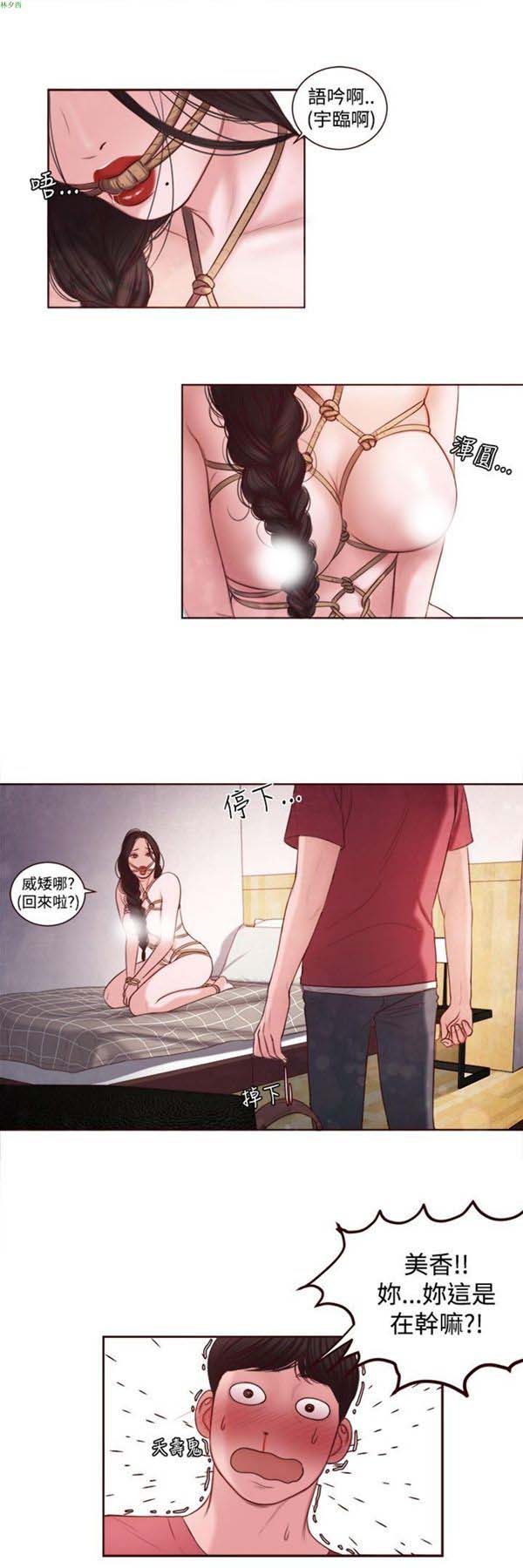 第15张