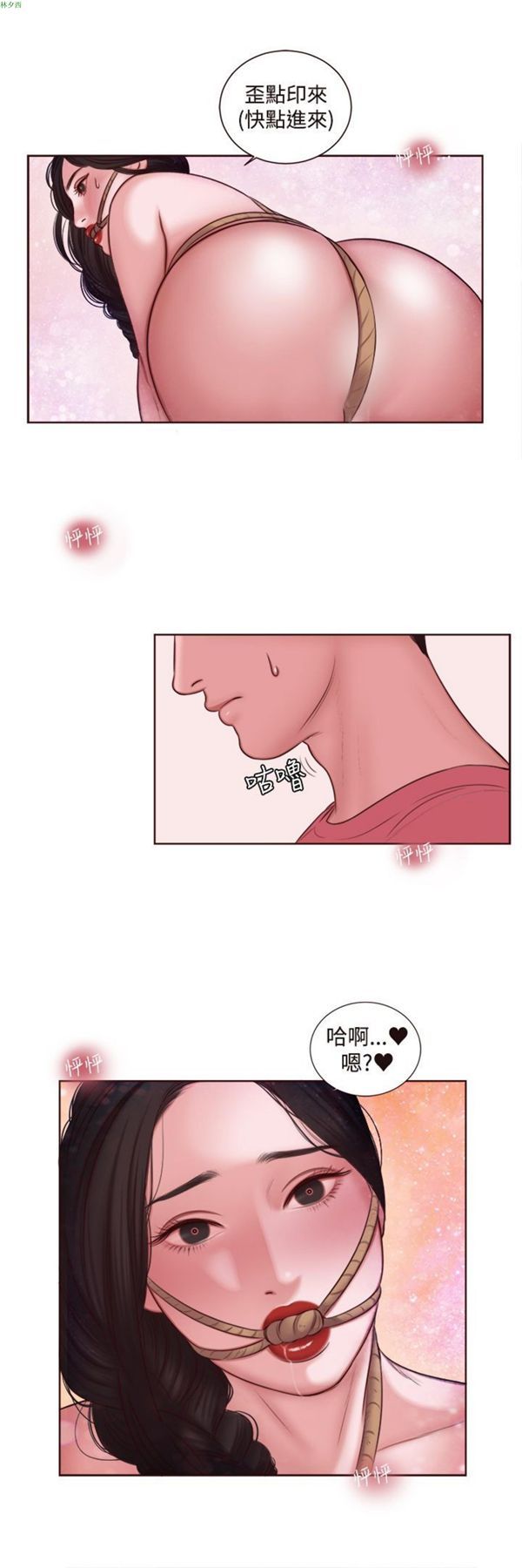第17张