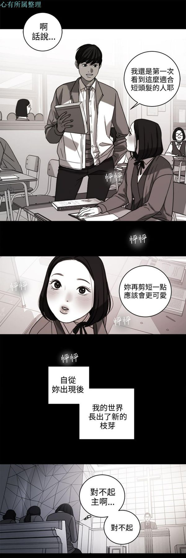 第13张