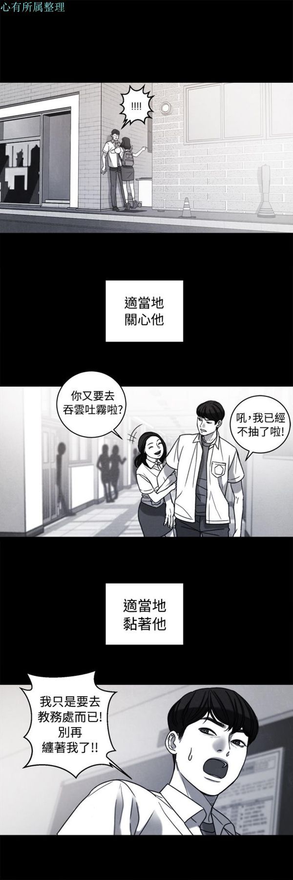 第3张