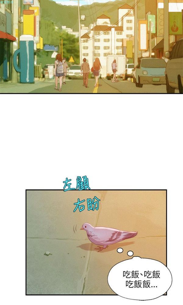 第23张