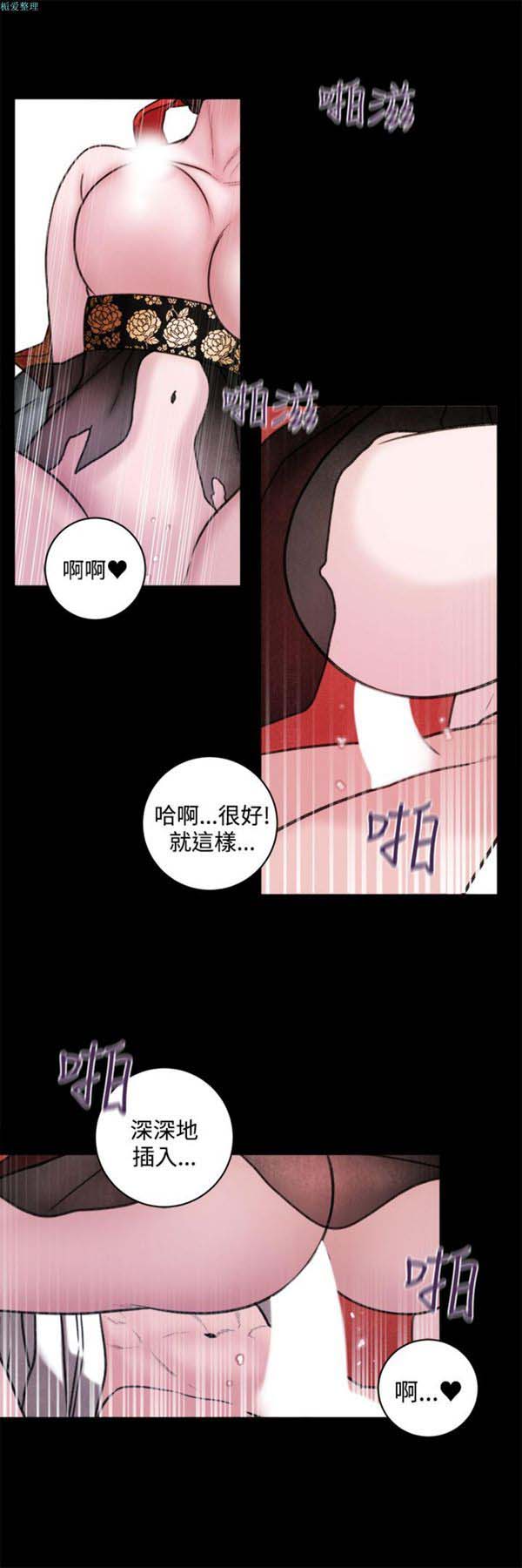 第11张