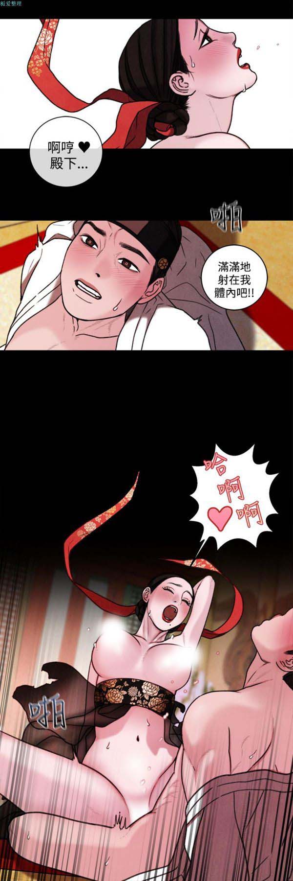 第12张
