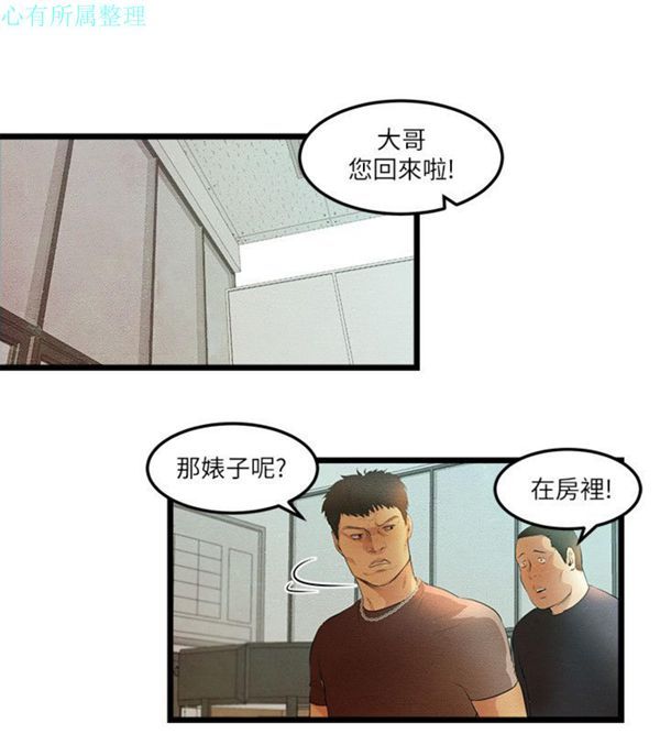 第3张