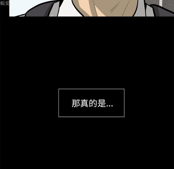 第41张