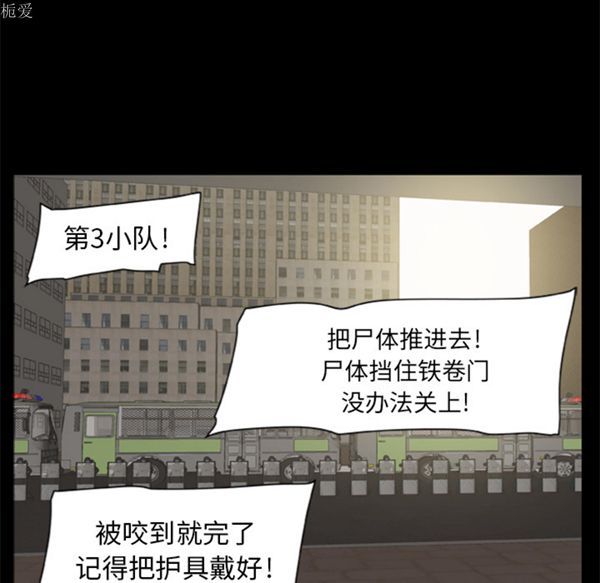 第31张