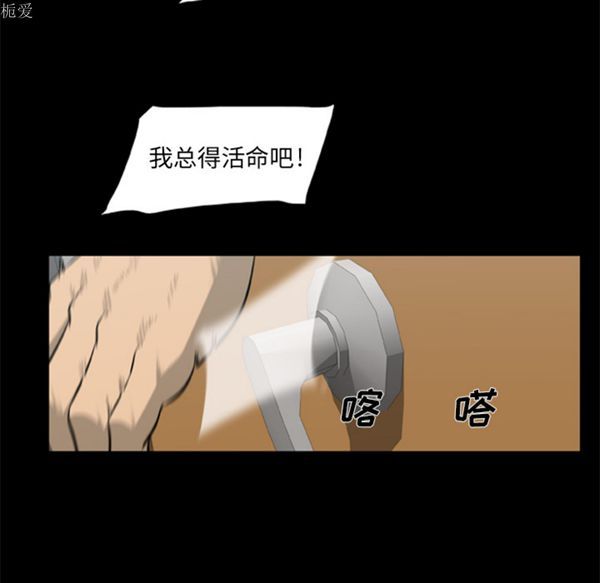 第37张