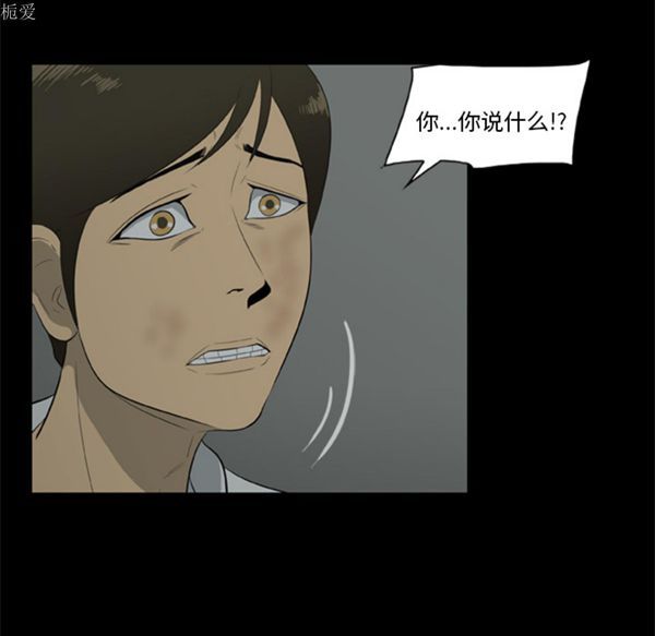第43张
