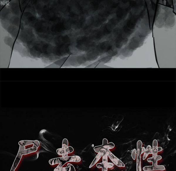 第73张