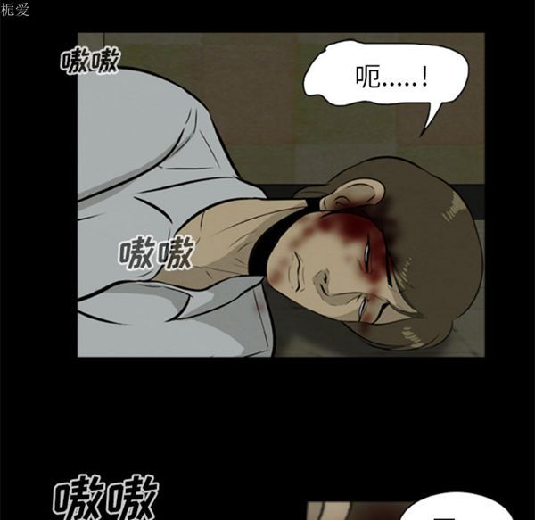 第12张