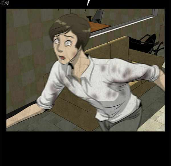 第3张