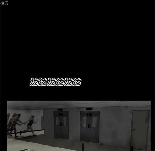 第5张