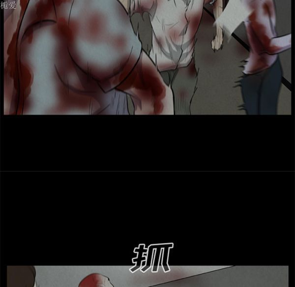 第32张