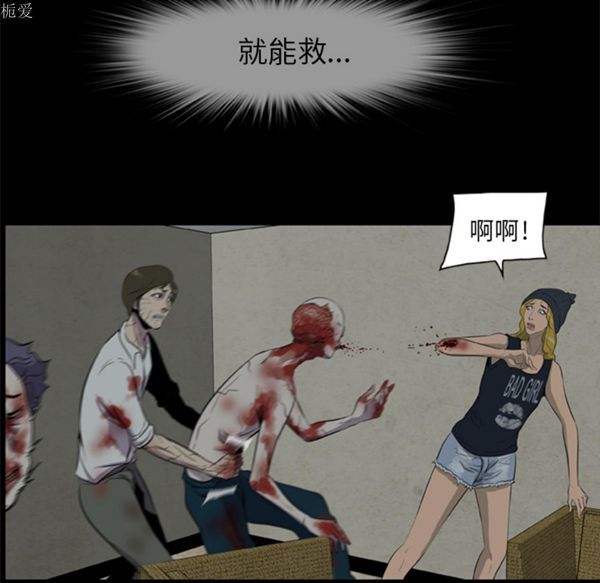 第43张