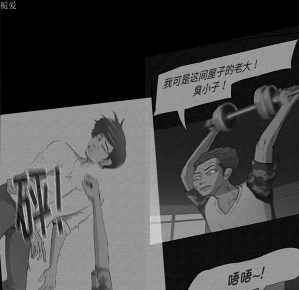 第55张