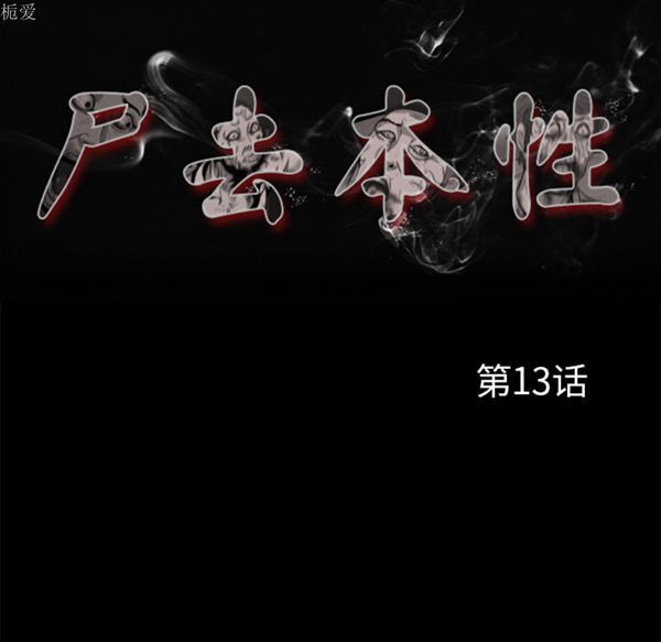 第54张