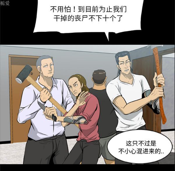 第20张