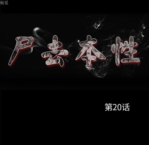 第56张