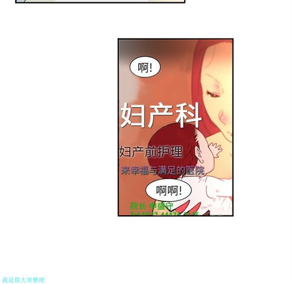 第6张